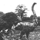 Illustration for article titled Monday Afternoon Open Thread- Moa Edition